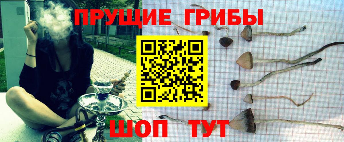 МЕФ Кудымкар